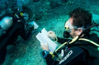 Evelyne and Lionel during a transect dive - Tumbak
