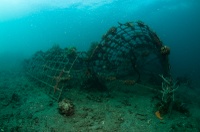 &quot;Biorock&quot; metal artificial structure (Lembeh Resort)