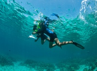 Pour les plus jeunes, observations en snorkeling