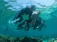 The younger students made their observations while snorkeling