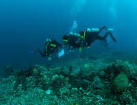 Older students are already able to scuba dive